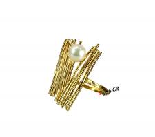 �������� ,����������� ���������